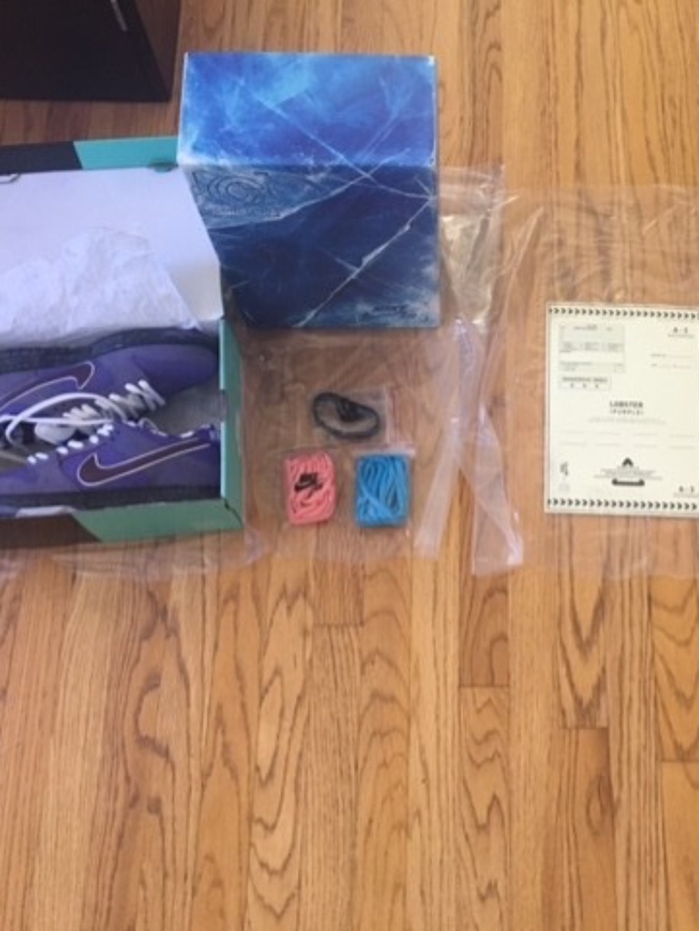 NEW Size 9.5 - Nike x Concepts SB Dunk Low ‘Purple Lobster’ BV1310 555